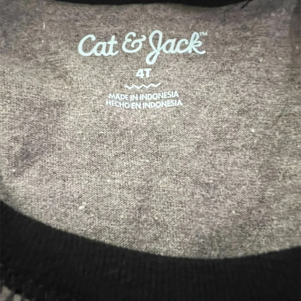 Toddler Boys Black & Gray Long Sleeve Shirt | 4T